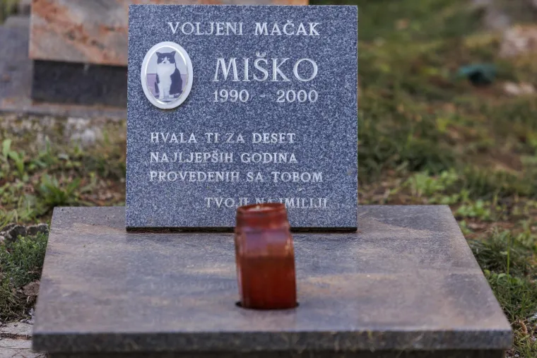 Nisu ih zaboravili: Na Sve svete pale se svijeće i ostavlja cvijeće i za kućne ljubimce