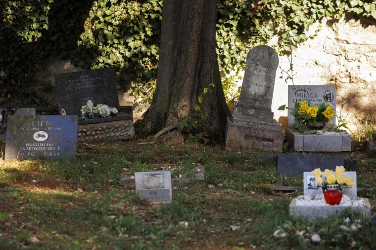 Nisu ih zaboravili: Na Sve svete pale se svijeće i ostavlja cvijeće i za kućne ljubimce