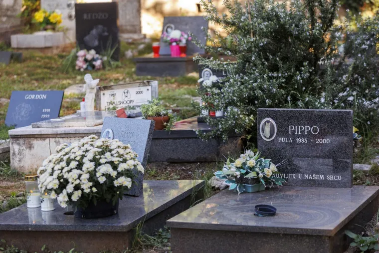Nisu ih zaboravili: Na Sve svete pale se svijeće i ostavlja cvijeće i za kućne ljubimce