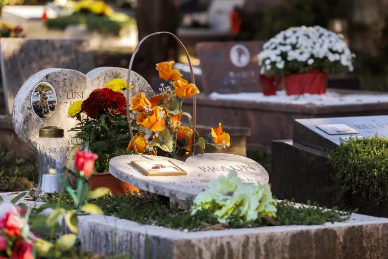 Nisu ih zaboravili: Na Sve svete pale se svijeće i ostavlja cvijeće i za kućne ljubimce