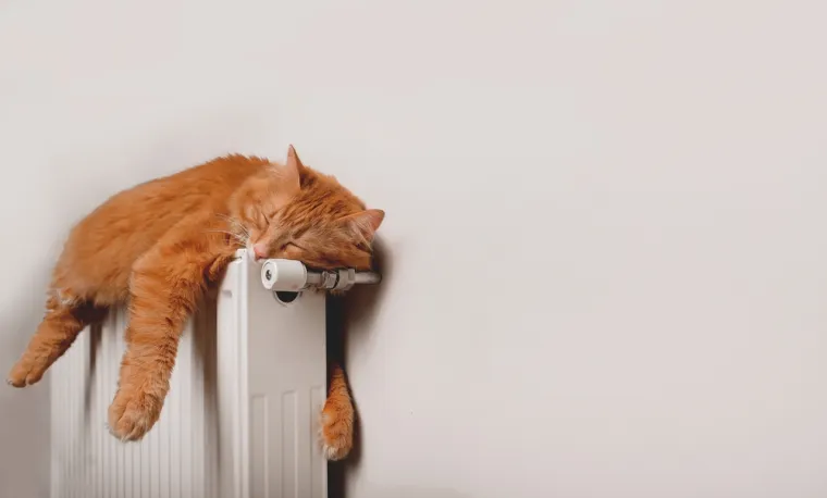 3. Snizite temperaturu sat vremena prije: Ako izlazite od kuće, snizite temperaturu na termostatu oko sat vremena prije polaska. Za to vrijeme se neće puno ohladiti, jer će se toplina neko vrijeme zadržati u sobi. Taj trik može uštedjeti nekoliko desetaka kuna na godinu. Ako ste pak odsutni od kuće cijeli dan, tada ćete stvarno vidjeti razliku na svom računu ako odlučite temperaturu grijanja držati na minimumu.