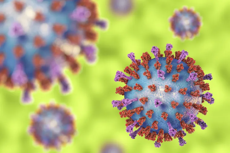 RSV je uobičajeni virus koji obično pogađa djecu prije njihovog drugog rođendana, a u većini slučajeva ne uzrokuje ništa ozbiljnije od prehlade. No, u malom broju slučajeva može dovesti do ozbiljnih komplikacija uključujući bronhiolitis ili upalu pluća, što može biti opasno po život. RSV može uzrokovati simptome slične prehladi, uključujući kašalj i curenje iz nosa, koji mogu trajati od jednog do dva tjedna.