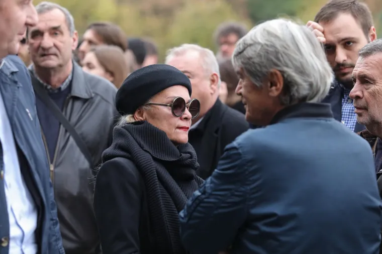Anja Šovagović Despot, Dragan Despot