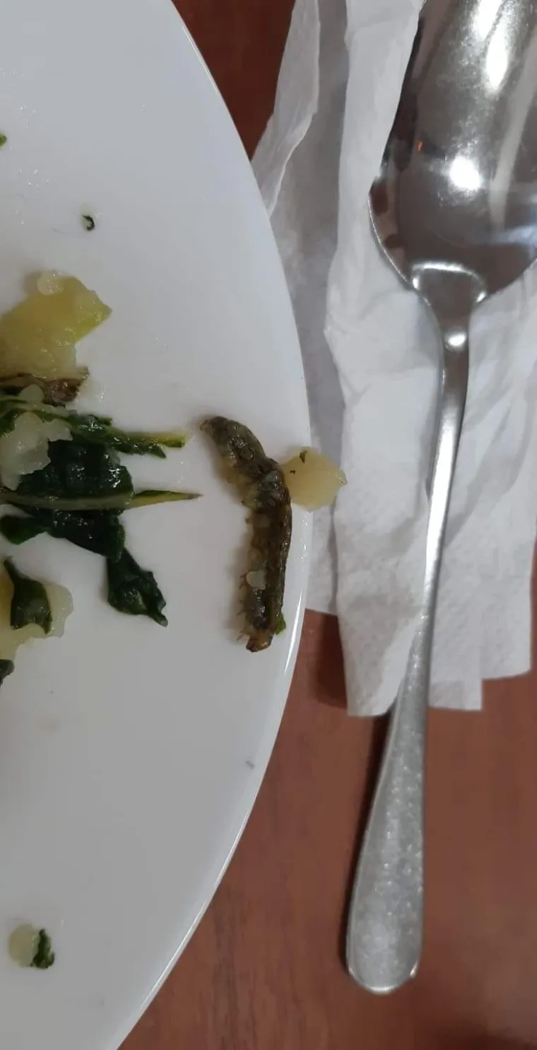 Prije dvije godine student Niko je u drugoj menzi na Savi primjetio gusjenicu. Kao i drugi nije upozoravao tete jer se to događalo relativno često.