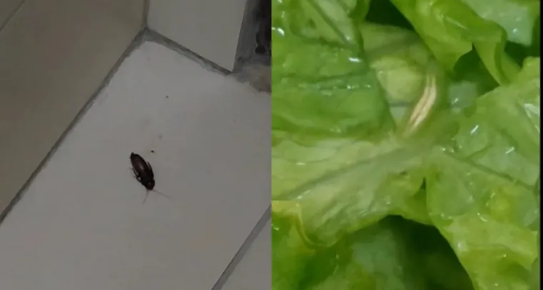 Prije mjesec dana studentica Emina rekla je da je prvo oti&scaron;la do WC-a oprati ruke prije jela i tamo ju je dočekao veliki žohar. Nakon toga vratila se za stol jesti i onda je u salati prona&scaron;la crva.