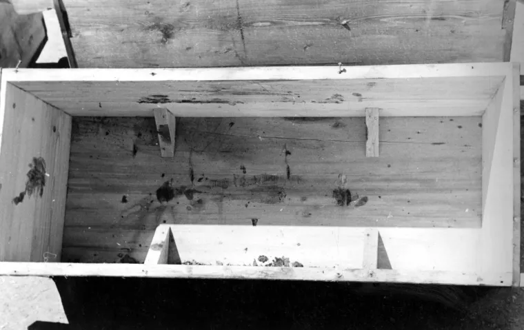 Inge je bila skrbnica koju je Von Stein imenovao da pazi na skrovi&scaron;te. Roman Furmaniak, koji vodi iskopavanje Silesian Foundation, rekao je: 'Bila je zaljubljena u zgodnog časnika u crnoj SS uniformi. Bili su poput bogova. Vjerovala je da će tamo morati ostati godinu, možda dvije, onda će sve biti gotovo. Nitko tada nije vjerovao da će regija doći pod kontrolu Sovjetskog Saveza. (Prazan nacistički sanduk)