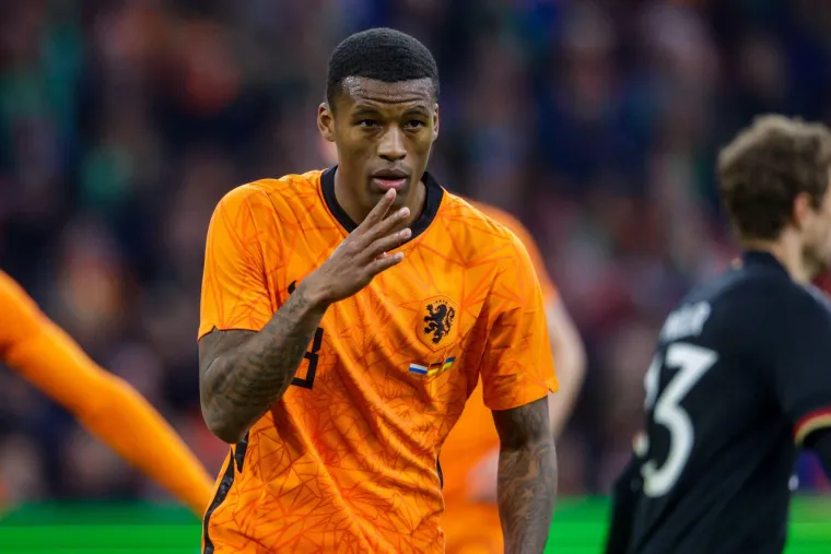 Georginio Wijnaldum (NIZOZEMSKA) - Jo&scaron; jedna ozljeda koja spada u kategoriju nesretnih, Nizozemac se ozlijedio na treningu, a podvrgnut je i medicinskim pretragama koje su potvrdile prisutnost prijeloma tibije na desnoj nozi.