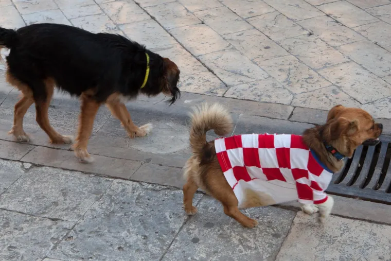 Za ovo niste ni znali da postoji: Ima tu svega, kao u 'Mamurluku'; Slavnih, poznatih i nepoznatih... Tko zna, možda se i pronađete