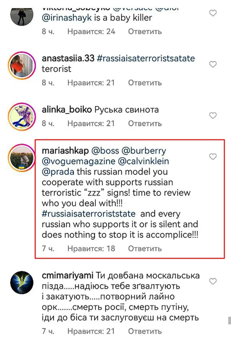 Manekenka je na svom Instagramu, gdje je prati oko 19 milijuna ljudi, podijelila fotografiju svog obroka – salate, ali pažnju je privukao simboličan natpis za koji mnogi vjeruju da sadrži referencu na simbol Z.