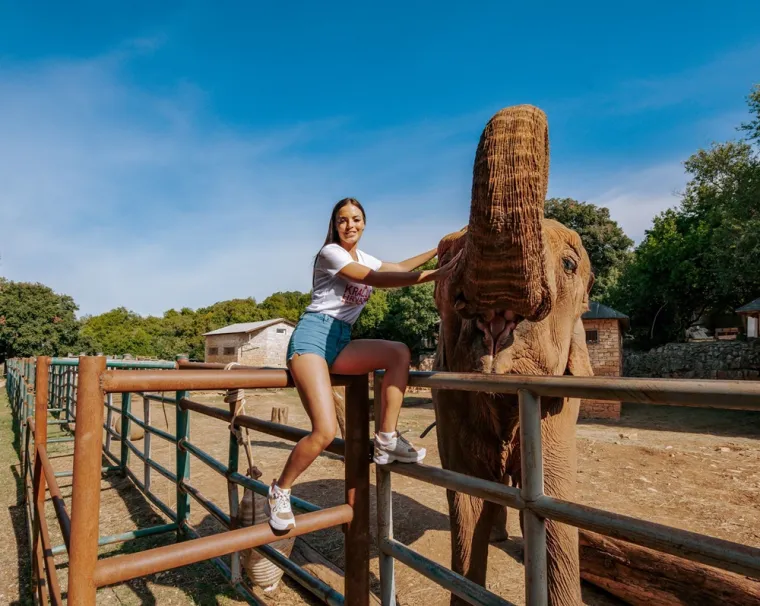 U Rovinju se ponovno bira najljepša djevojka: Samo jedna ponijet će krunu Kraljice Hrvatske za Kraljicu Svijeta