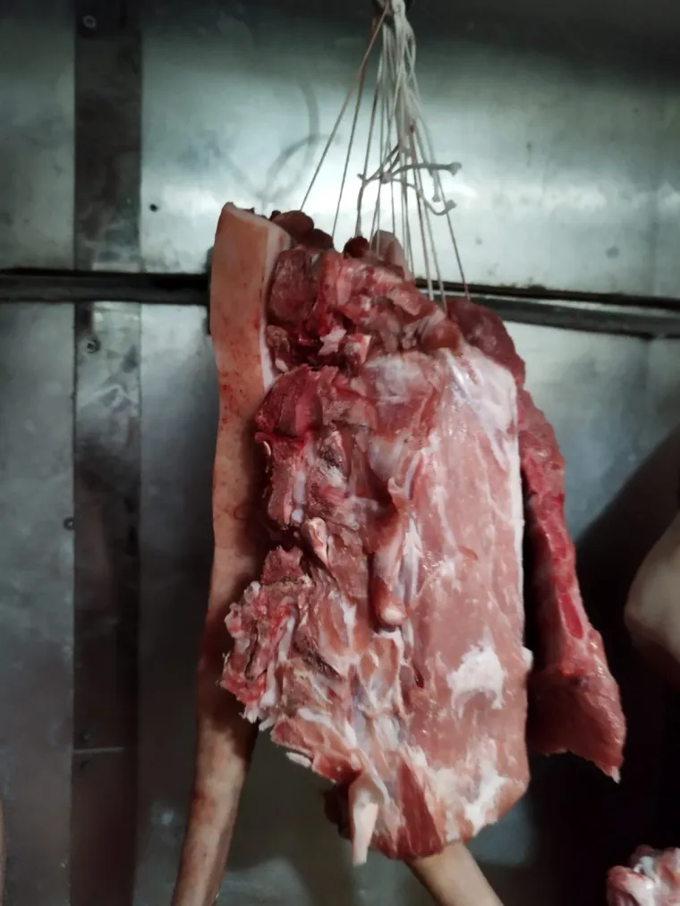 Otkrili 'priručnu klaonicu' u kući u Dalmaciji, objavili katastrofalne fotografije otkrića