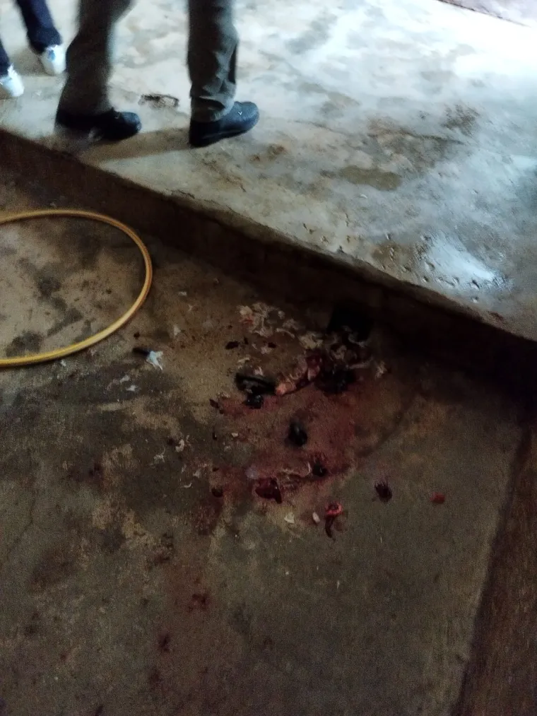 Otkrili 'priručnu klaonicu' u kući u Dalmaciji, objavili katastrofalne fotografije otkrića