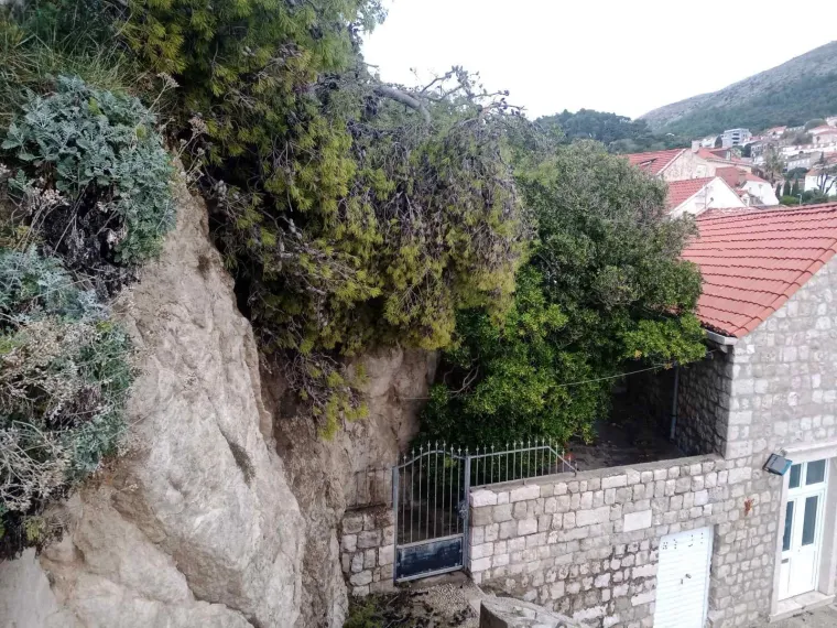 FOTO Žestoko nevrijeme tijekom noći po Dubrovniku čupalo stabla iz korijena
