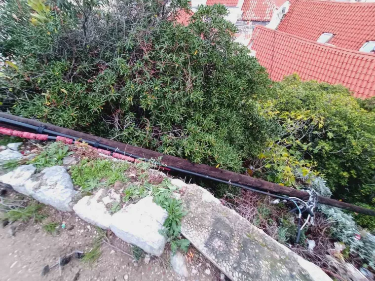 FOTO Žestoko nevrijeme tijekom noći po Dubrovniku čupalo stabla iz korijena