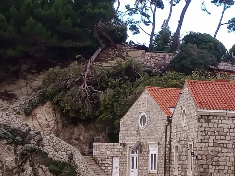 FOTO Žestoko nevrijeme tijekom noći po Dubrovniku čupalo stabla iz korijena