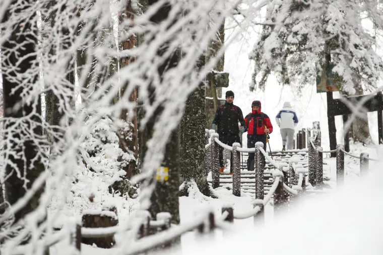Pogledajte prekrasne prizore sa Sljemena: Snježna idila koja oduzima dah!