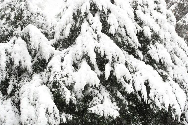 Pogledajte prekrasne prizore sa Sljemena: Snježna idila koja oduzima dah!