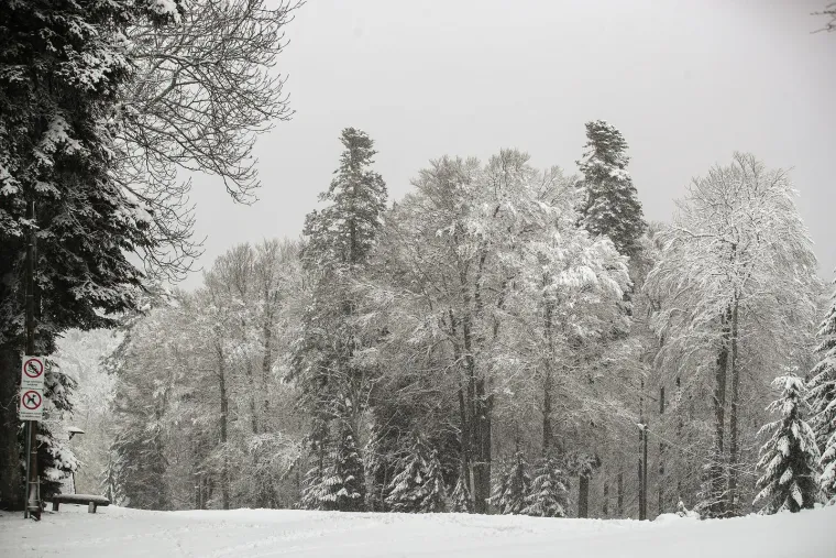 Pogledajte prekrasne prizore sa Sljemena: Snježna idila koja oduzima dah!