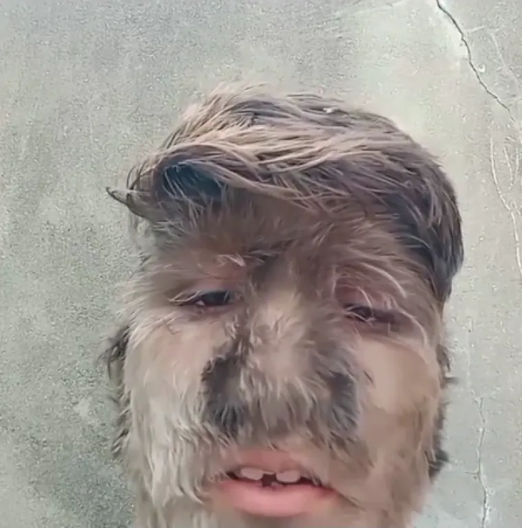 Patidar je čak počeo pisati blogove i stvarati videa s ciljem da jednog dana postane poznati youtuber.