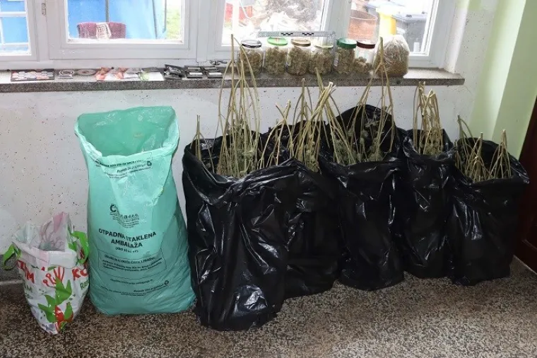 Četvorici iz Varaždina prona&scaron;li 7 kila 'trave', biljke, streljivo, laboratorij, hrpu novca&hellip;
