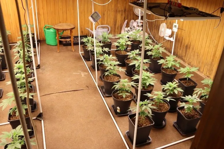 Četvorici iz Varaždina prona&scaron;li 7 kila 'trave', biljke, streljivo, laboratorij, hrpu novca&hellip;