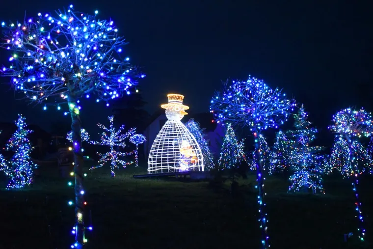 Otvoren Advent obitelji Salaj. Milijunima lampica osvijetljeni vilenjaci, snjegovići, sobovi...