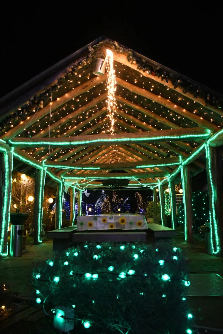 Otvoren Advent obitelji Salaj. Milijunima lampica osvijetljeni vilenjaci, snjegovići, sobovi...