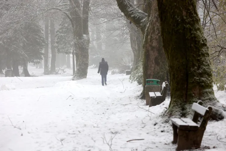 Pogledajte ovu snježnu rapsodiju u Gorskom kotaru, počeo je padati snijeg!