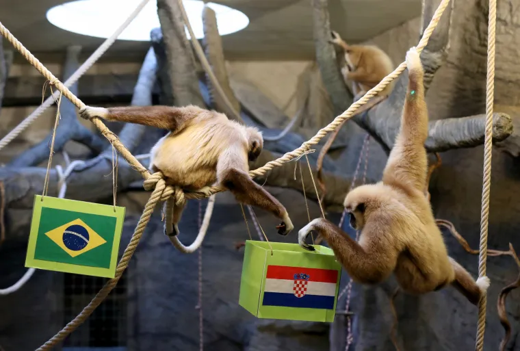 Gibon Kent odabrao pobjednika između Vatrenih i Brazila! Bojite li se pogledati?
