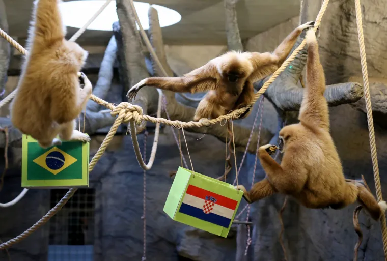 Gibon Kent odabrao pobjednika između Vatrenih i Brazila! Bojite li se pogledati?