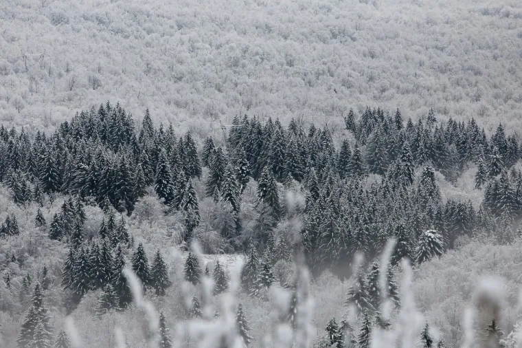 Zimska idila središnjoj Hrvatskoj: Snijeg zabijelio šume i krovove, bajkoviti prizori ostavljaju bez daha