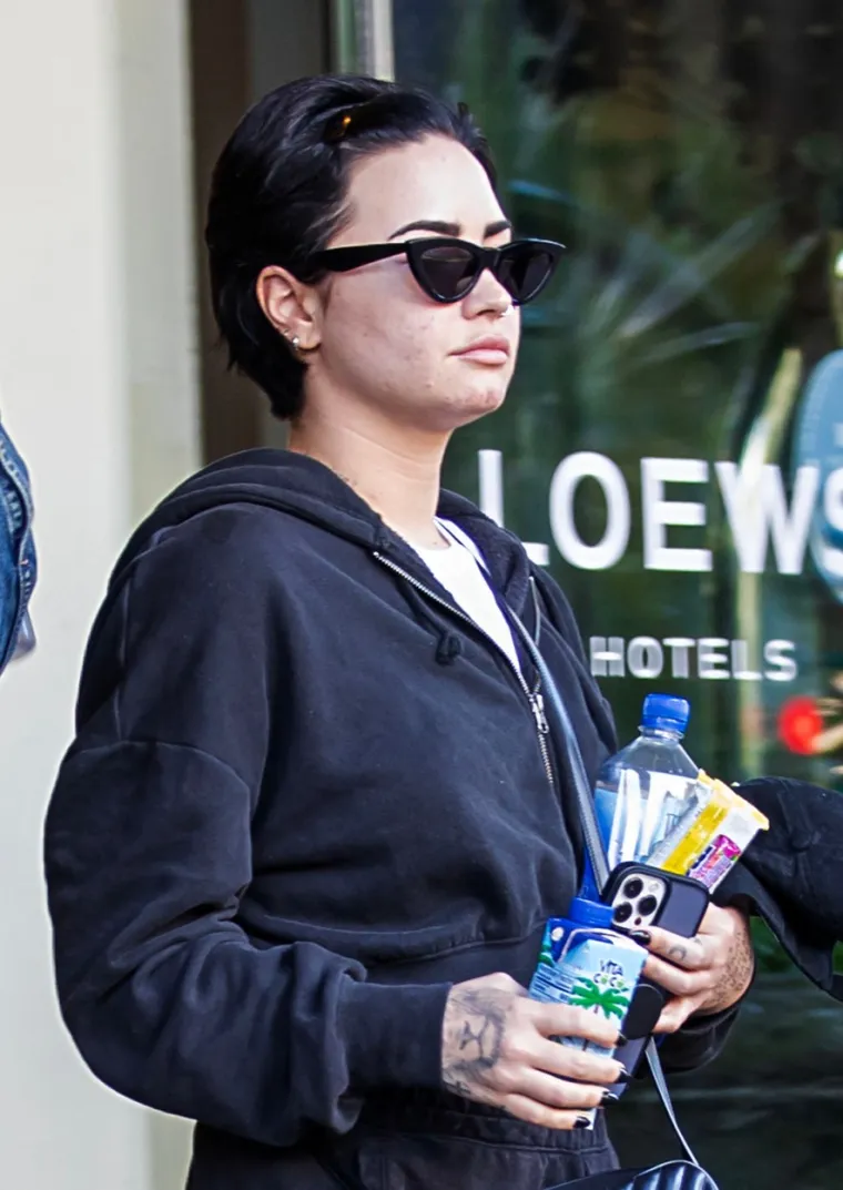 Demi Lovato 