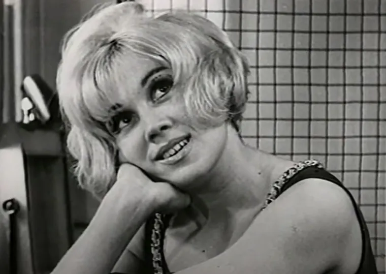 Bogata karijera: Karijeru je počela davne 1957. godine, u filmu &quot;Doktor&quot;, a kasnije je glumila u filmovima &quot;Kad budem mrtav i beo&quot;, &quot;Bokseri idu u raj&quot;, &quot;Užička republika&quot;, &quot;Savamala&quot; i drugima. Komedija &quot;Tesna koža&quot; donijela joj je najveću popularnost, a za film &quot;Žuta&quot; nagrađena je Zlatnom arenom na Filmskom festivalu u Puli. Neke od njenih poznatijih velikih uloga su Taska u velikom hitu &quot;Zona Zamfirova&quot;, uloga Veliborke u &quot;Srećnim ljudima&quot; i kume Anice u popularnoj seriji &quot;Greh njene majke&quot;. Ružica je često prikazivana kao zavodnica. Neke od tih uloga, poput Žute ostale su najupečatljivije kao i uloga Ruže u &quot;Drugoj Žikinoj dinastiji&quot; i Veliborka Veca u &quot;Srećnim ljudima&quot;.