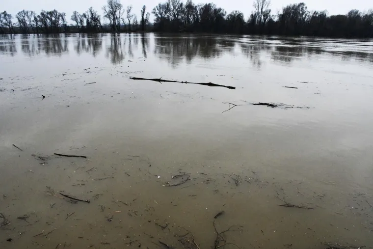 Kada priroda napravi svoje: U Slavonskom Brodu Savom plutaju velike količine raznog otpada