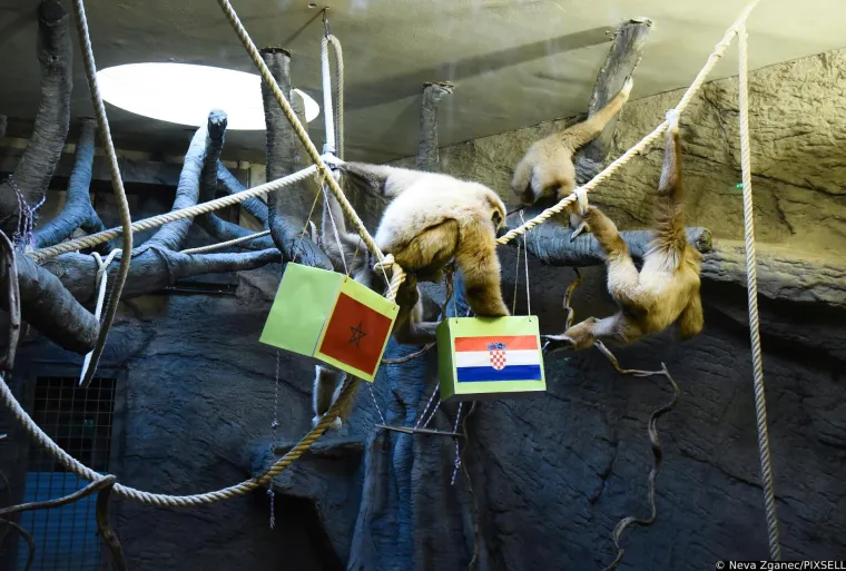 Gibon Kent prognozirao tko će odnijeti broncu: 'Bilo je dosta kontroverzi u javnosti oko njegovog zadnjeg izbora'