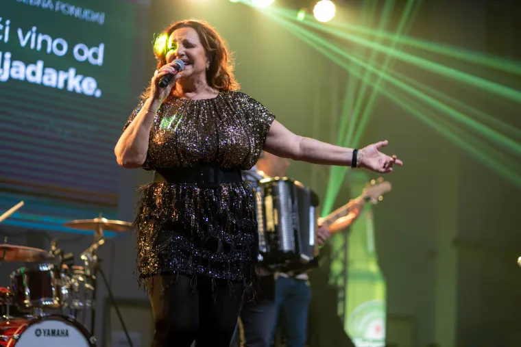 A koncert je trajao skoro 6 sati jer je svaki od navedenih popularnih pjevača po dva sata nastupao bez prestanka. 