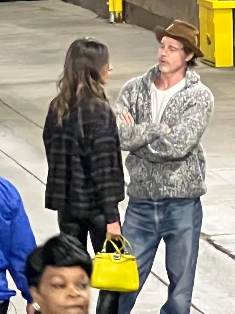 Ines De Ramon pošlo je za rukom što nijednoj nije: Brad Pitt ju je kao djevojku predstavio svojim prijateljima