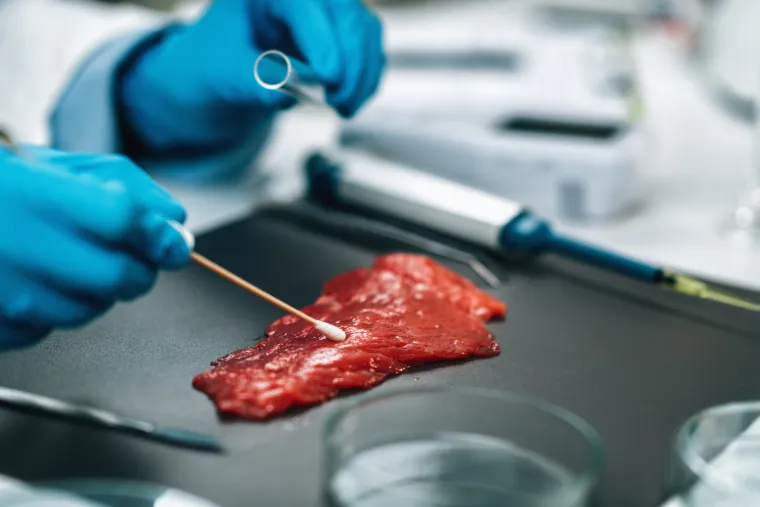 Ovisno od vrste bakterije, bolesti se mogu svrstati u tri osnovne grupe: enterokolitisi (salmoneloze u užem smislu riječi, toksiinfekcije) – najučestaliji oblik. Obično su uzrokovani salmonelom enteritidis i salmonelom typhimurium. 