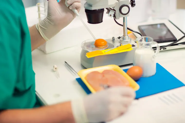 Enterične (tifoidne) groznice – izazivači su salmonela typhi i salmonela paratyphi. Trbušni tifus je najteže oboljenje od svih salmoneloza.