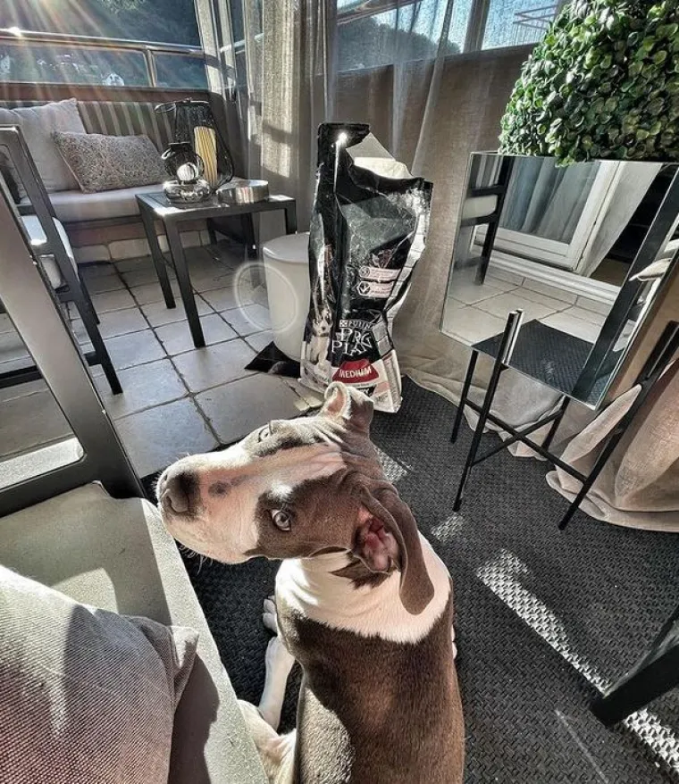 Balkon izgleda poput malog dnevnog boravka, uređen namje&scaron;tajem koji je sama dizajnirala, a od znatiželjnih pogleda ili prejakog sunca mogu se sakriti iza zastora.