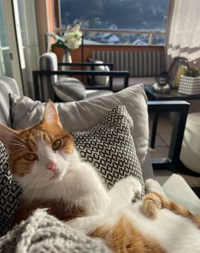 Na balkonu se nalazi kauč sa sivim jastucima gdje njezine mačke i pas vole boraviti, a ispred njega je stol od metala i stakla. 