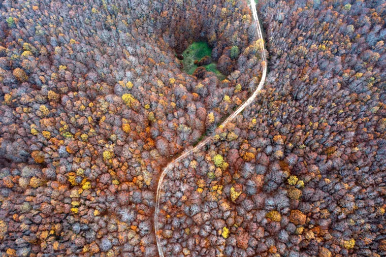 Blidinje, Bosna i Hercegovina - Fotografija iz zraka &scaron;ume u parku prirode Blidinje