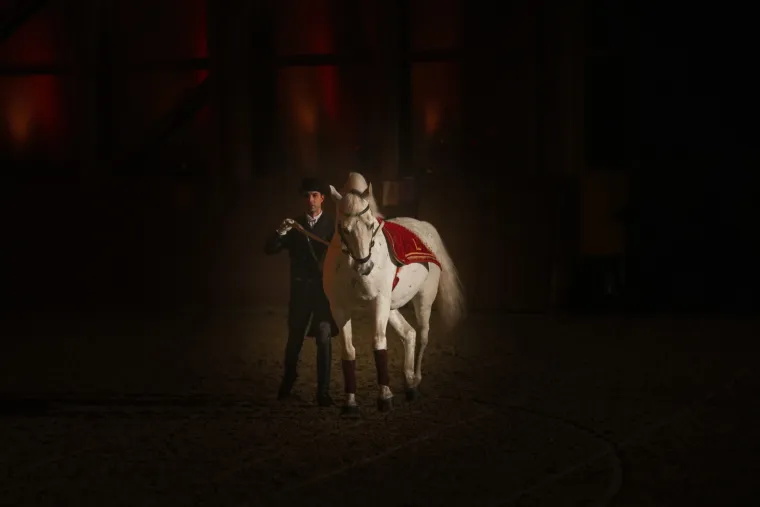 Đakovo -Božični bal lipicanaca deveti po redu  -to je bajka o vilama, začaranoj &scaron;umi i piratima