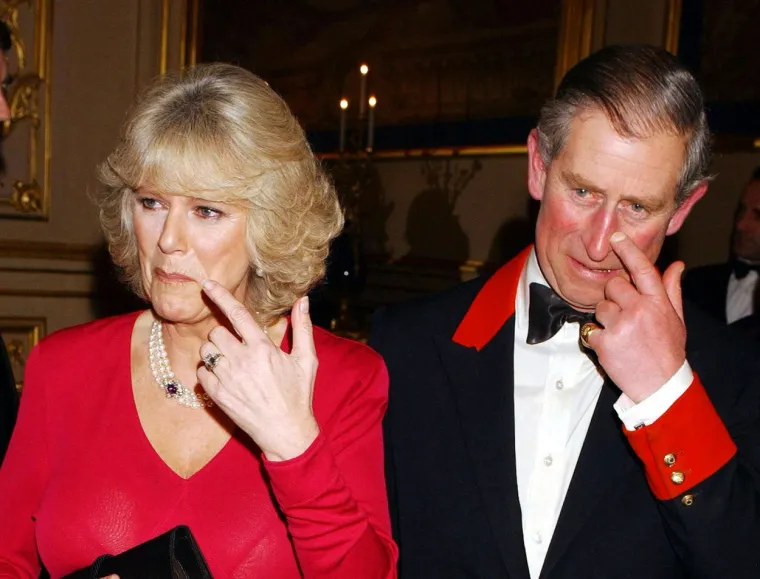 Clarkson je u svome članku pisao o Meghan vrlo ružnim riječima te iznio gnjusno priznanje da ‘sanja o danu kada će ona biti prisiljena paradirati gola po ulicama svakog grada u Velikoj Britaniji dok će joj gomila skandirati ‘sramota‘ i bacati izmet na nju‘. Nakon što se suočio s mnoštvom kritika, The Sun je uklonio sporni članak te se Clarkson ispričao. Harry je članak opisao kao ‘užasan, bolan i okrutan prema njegovoj ženi‘.

