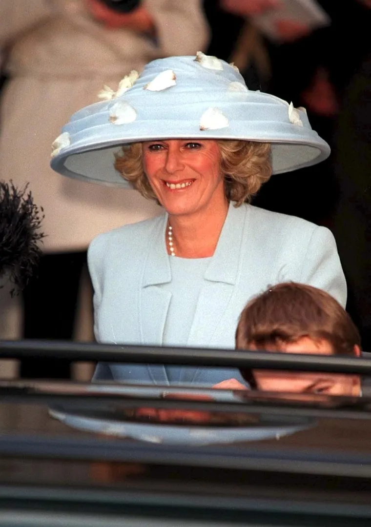 "Harry, koji u svom djetinjstvu nikada nije ni znao za Camillino postojanje, odlučio je da ona mora biti kriva. Kriva jer je usrećila njegova oca i time skrenula pozornost sa samog potrebitog Harryja. Naravno, bit će povrijeđena njegovim sitnim uvredama, ali mu to neće zamjeriti. Umjesto toga, na Harryja će gledati kao na tužan i zbunjen slučaj kakav je, čini se, postao", dodala je.