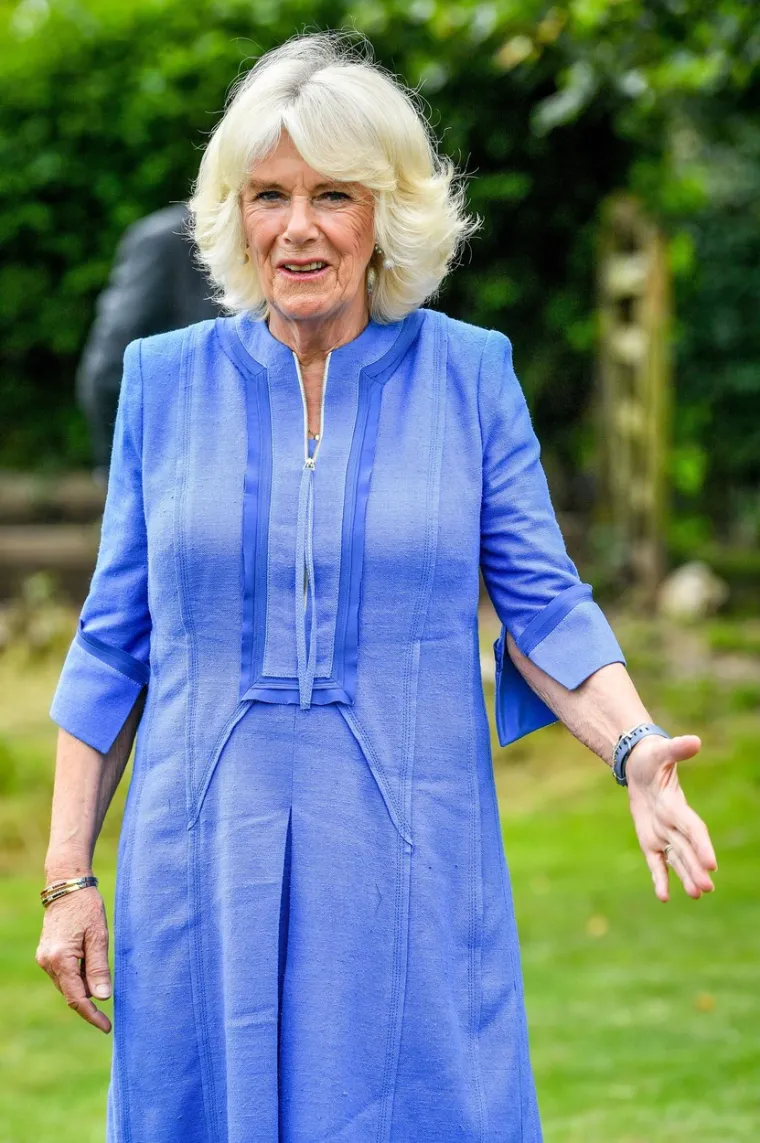 Camilla je dugo slovila kao najomraženija članica kraljevske obitelji. Diana je u jednom intervjuu priznala kako u njezinom braku ima troje ljudi, a ne dvoje. 