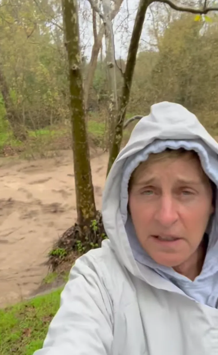 Ellen DeGeneres
