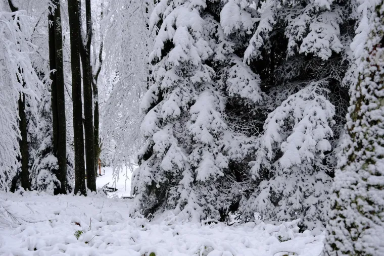 Prije samo nekoliko dana na Sljemenu ni traga snijegu: Ove fotografije neke tjeraju da se pitaju samo jedno pitanje