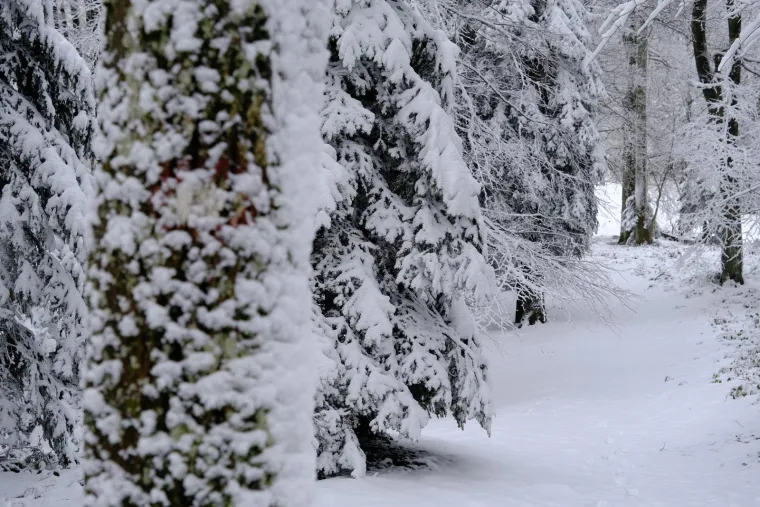 Prije samo nekoliko dana na Sljemenu ni traga snijegu: Ove fotografije neke tjeraju da se pitaju samo jedno pitanje
