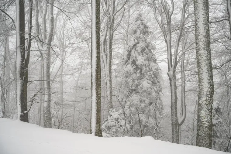 Prava zimska idila na Sljemenu: Zagrepčani konačno dočekali snijeg